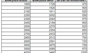 Ile komornik może zabrać z emerytury? Ratunkowe zasady ochrony świadczeń