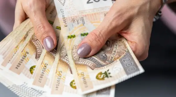 Okresowa emerytura kapitałowa - co to jest i jak ją uzyskać?